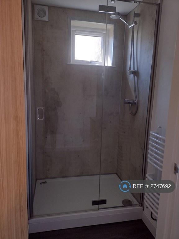 Downstairs Shower