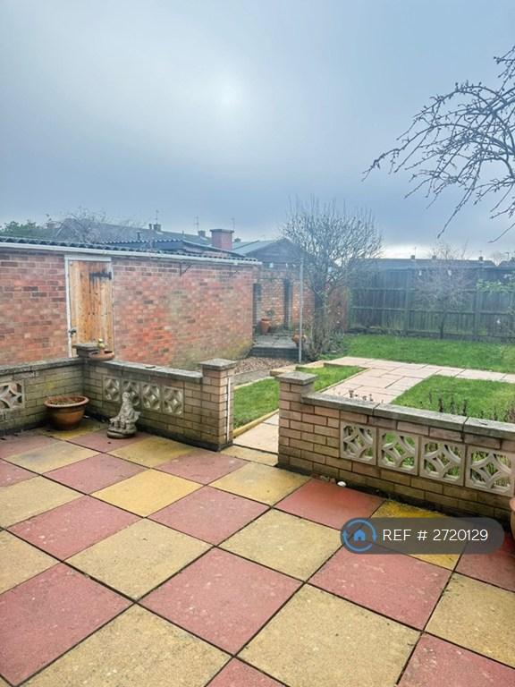 Back Garden
