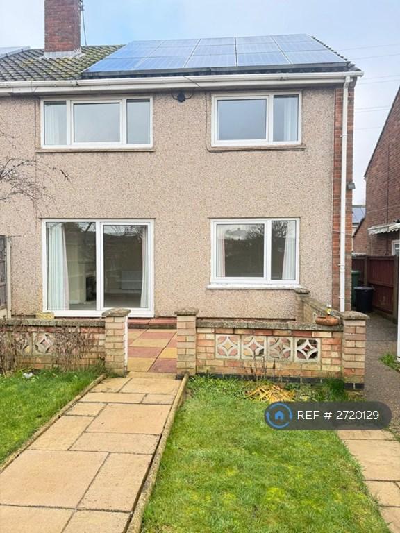 Back Garden