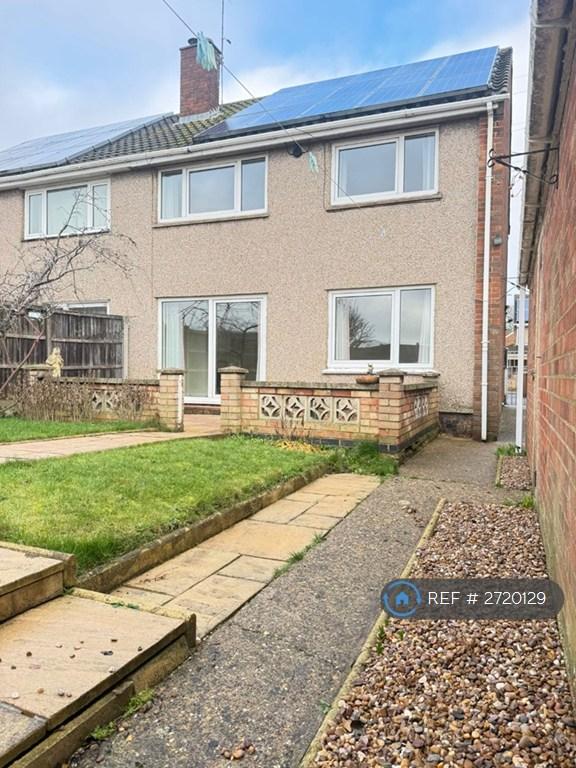 Back Garden