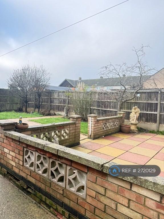 Back Garden