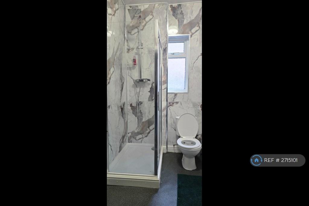 Downstairs Extra Bathroom