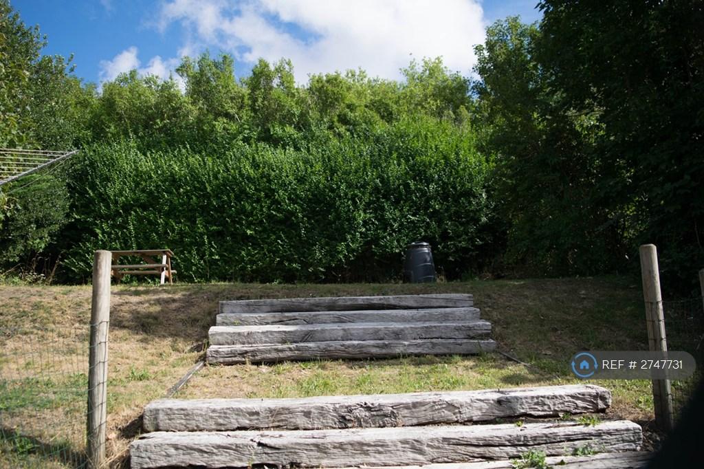 Back Garden