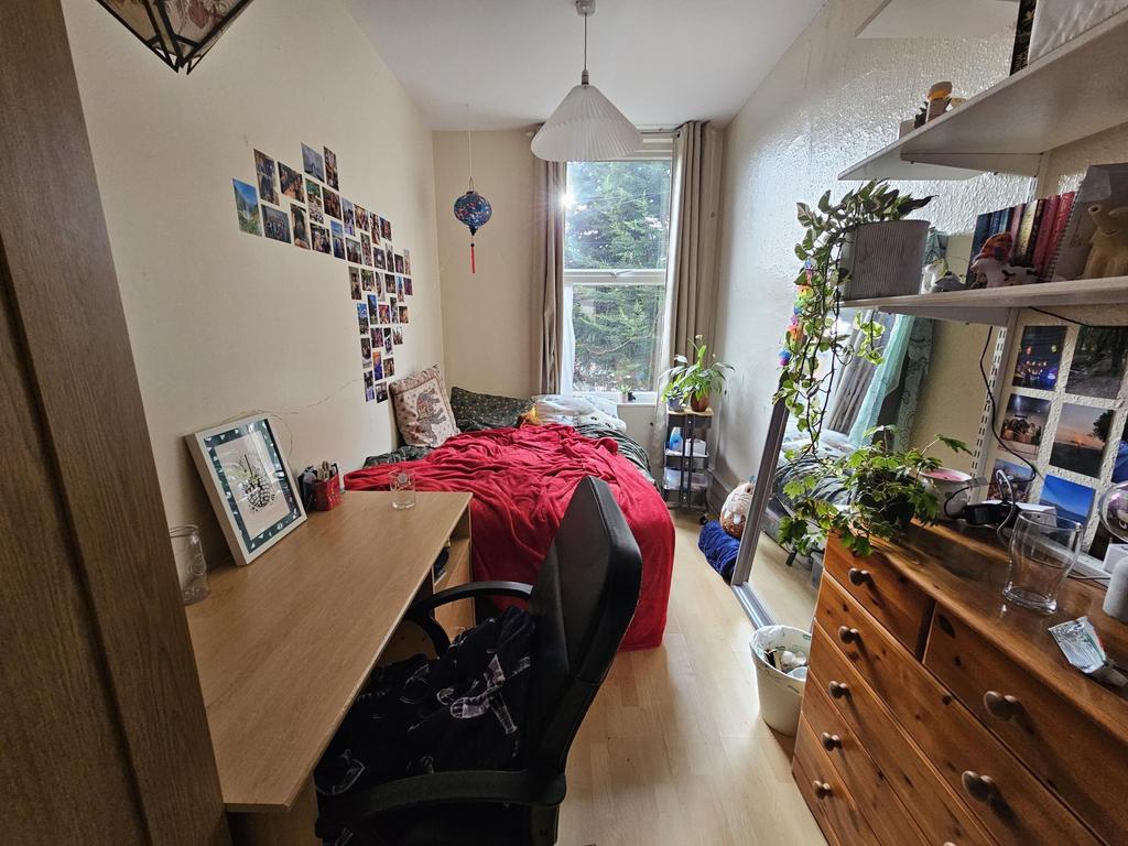 Bright, neatly arranged single bedroom with a c...
