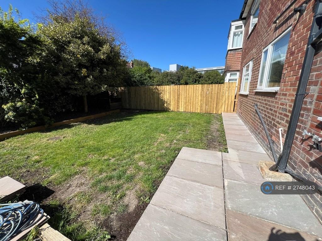 Back Garden