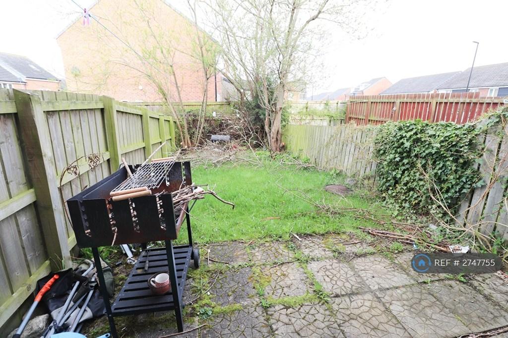 Back Garden