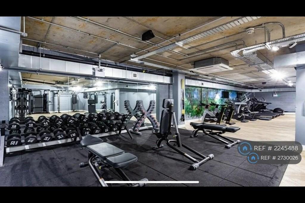 Gym