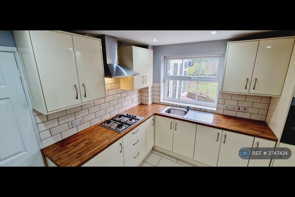 Modern Kitchen