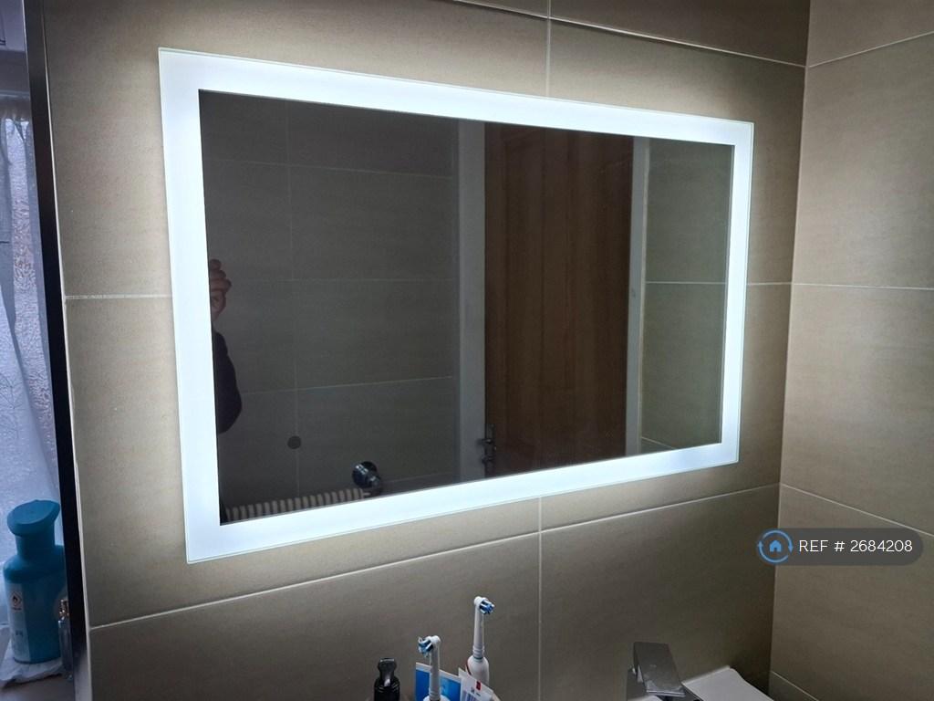 Bathroom Mirror