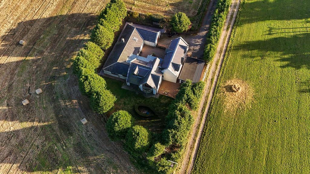 Plot view