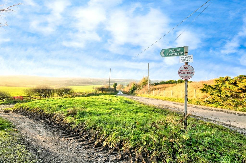 Lane