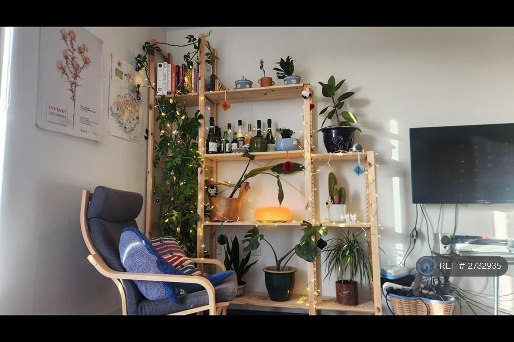 Cosy Area