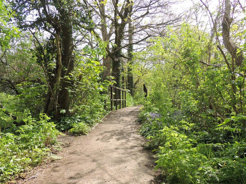 Surrounding Area / Walks