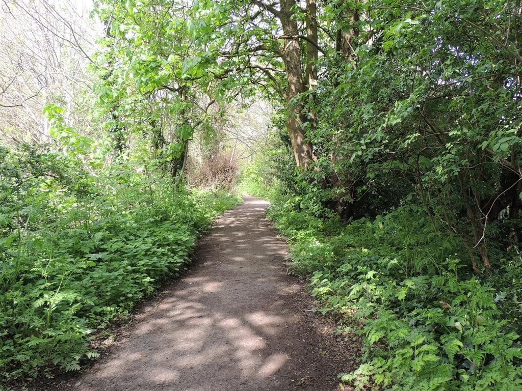 Surrounding Area / Walks