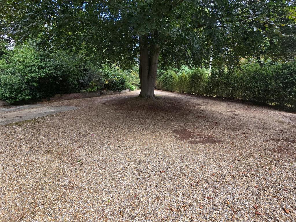 Driveway