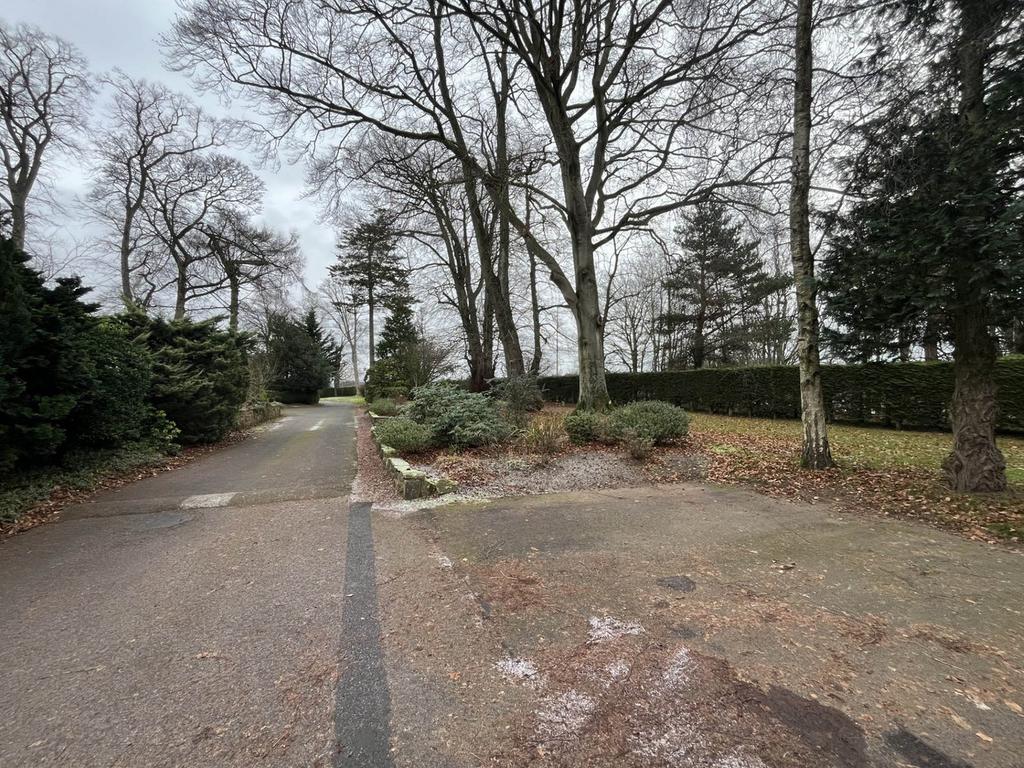 Woodland/Parking