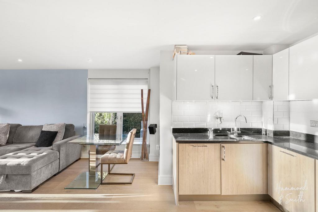 Kitchen / Living / Dining