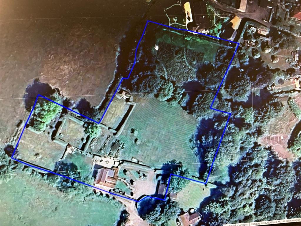 Plot Layout