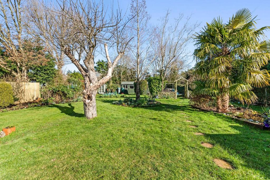 Garden (3).jpg
