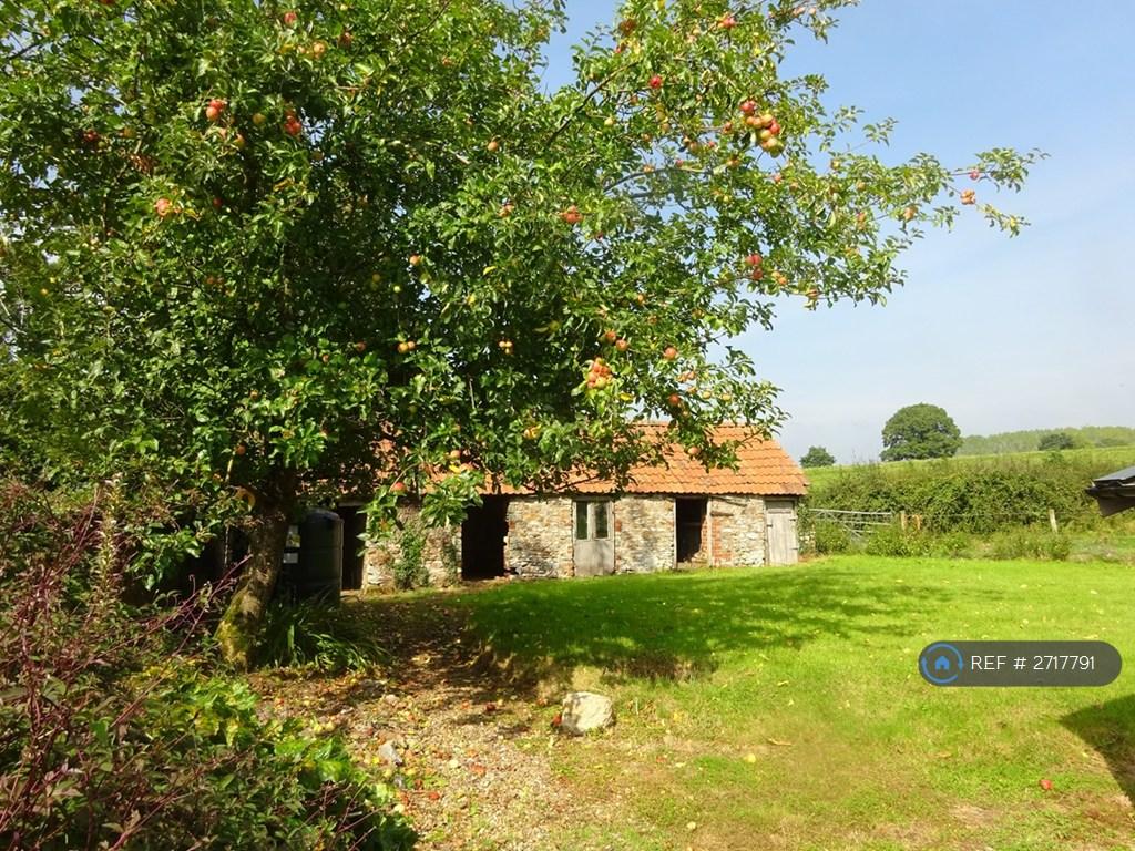 Secluded Back Garden