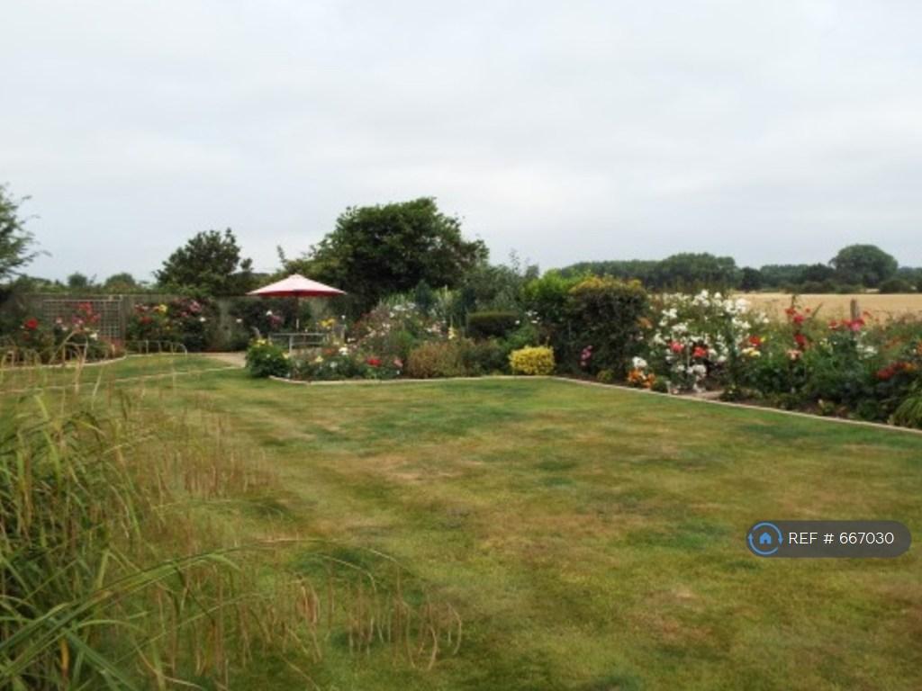 Back Garden