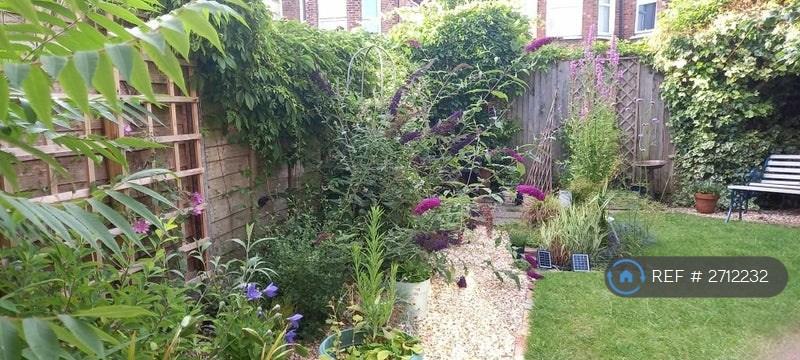 Garden 1