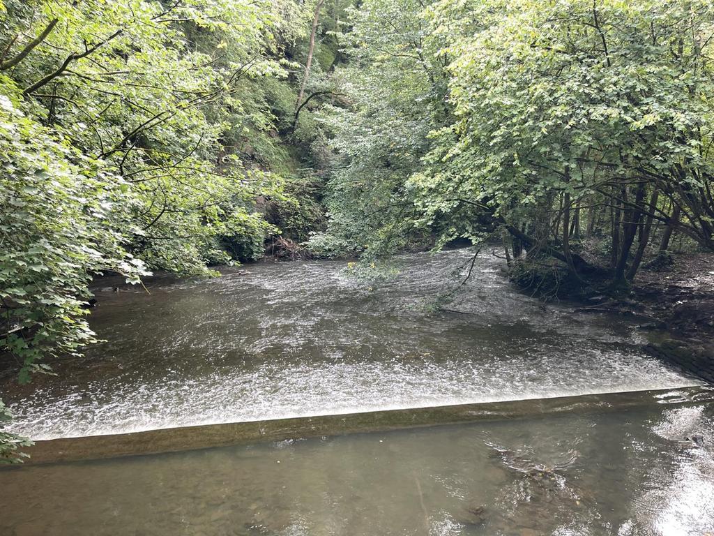 Thumbnail image1.jpg