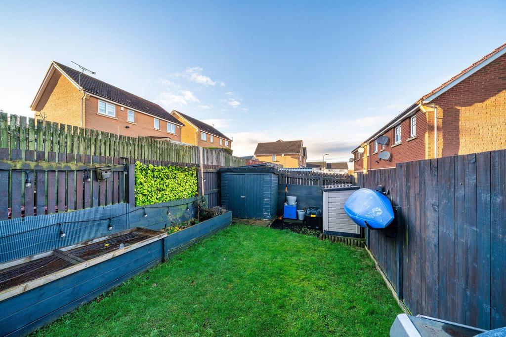 Back Garden