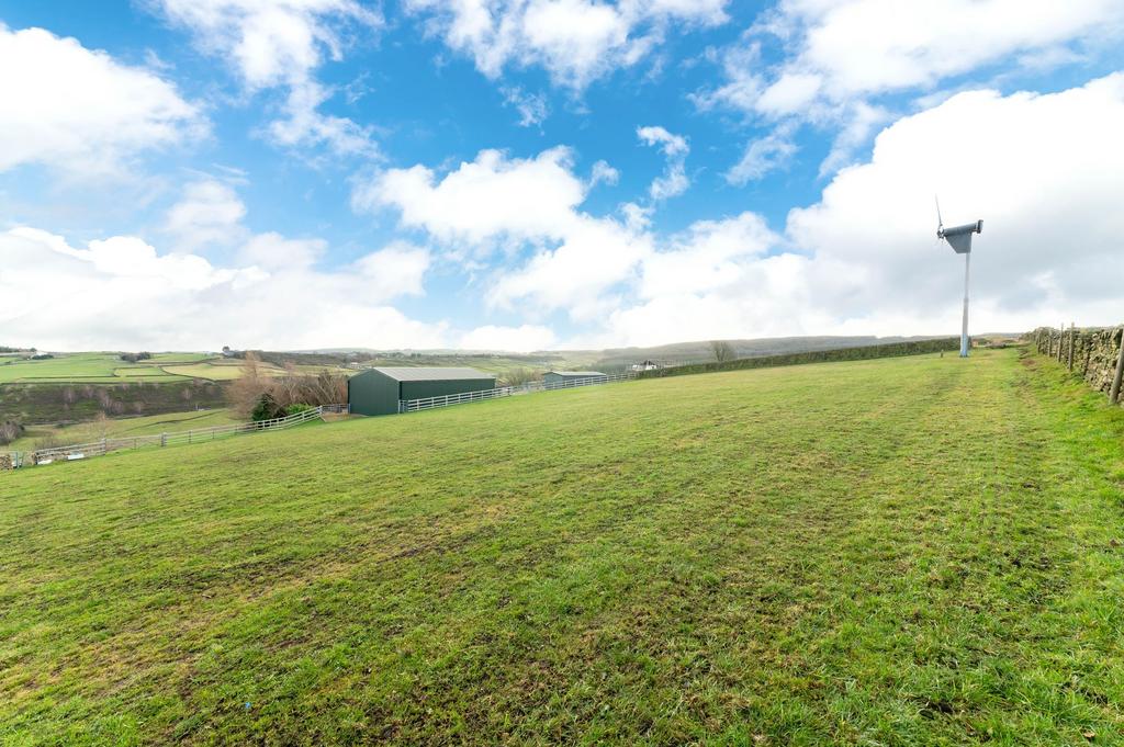Field