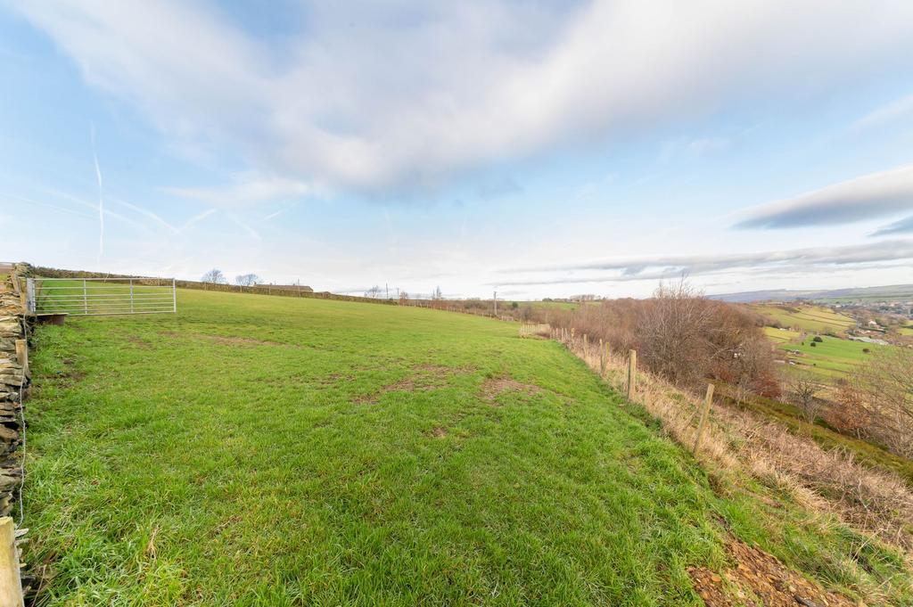 Field