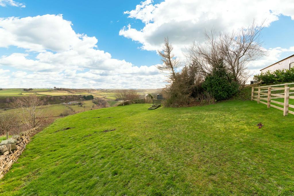 Field
