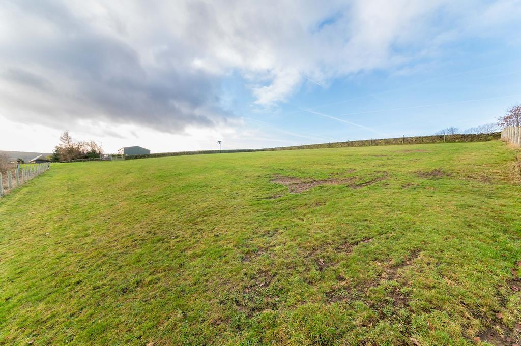 Field