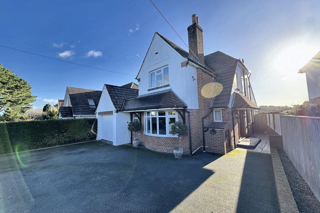 (Main)