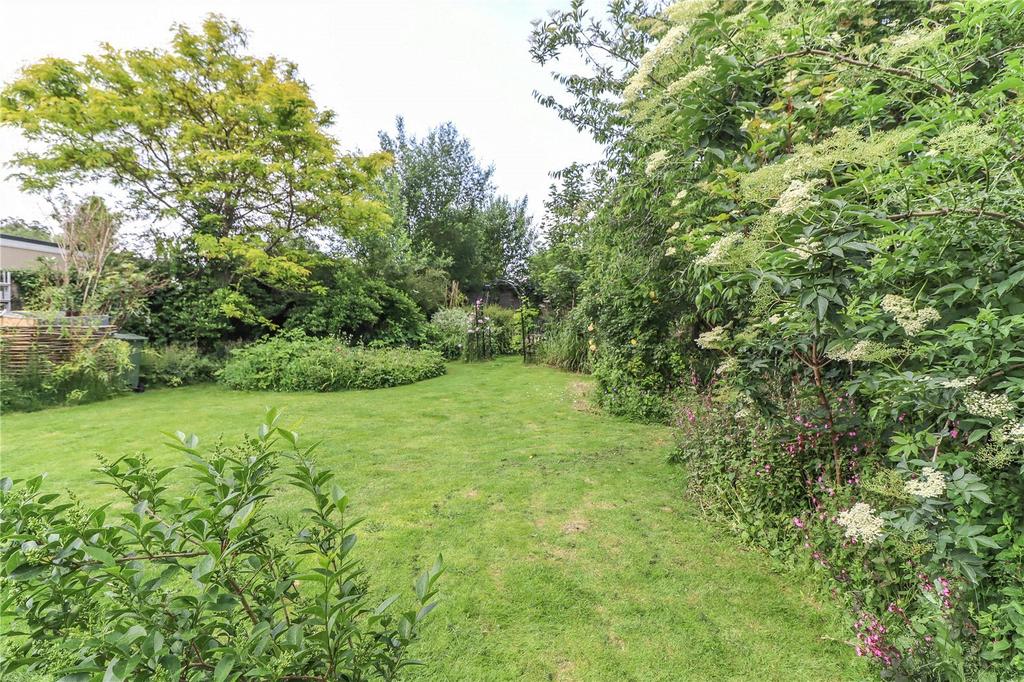 Mature Planting