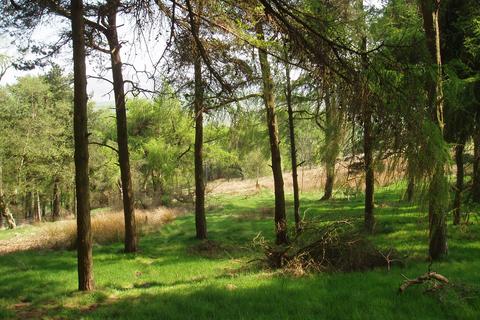 Woodland for sale, Elle Bank Wood, Hayfield, Derbyshire SK22