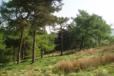 Woodland for sale, Elle Bank Wood, Hayfield, Derbyshire SK22