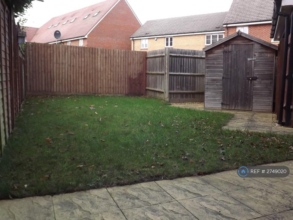 Back Garden