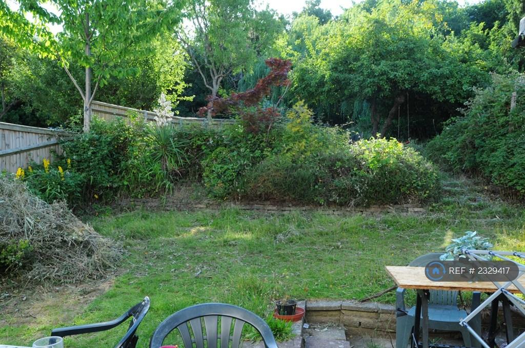 Rear Back Garden