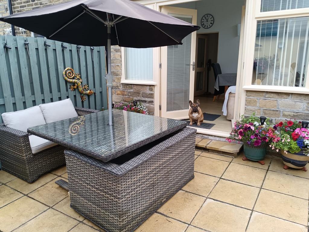 Back garden