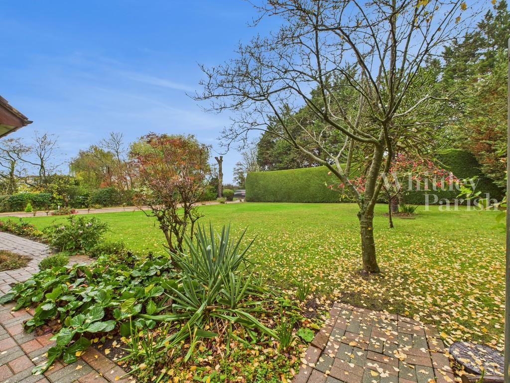 Cam04332 g0 pr0556 still032