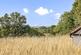 Shipley, Nr. Horsham photo 3