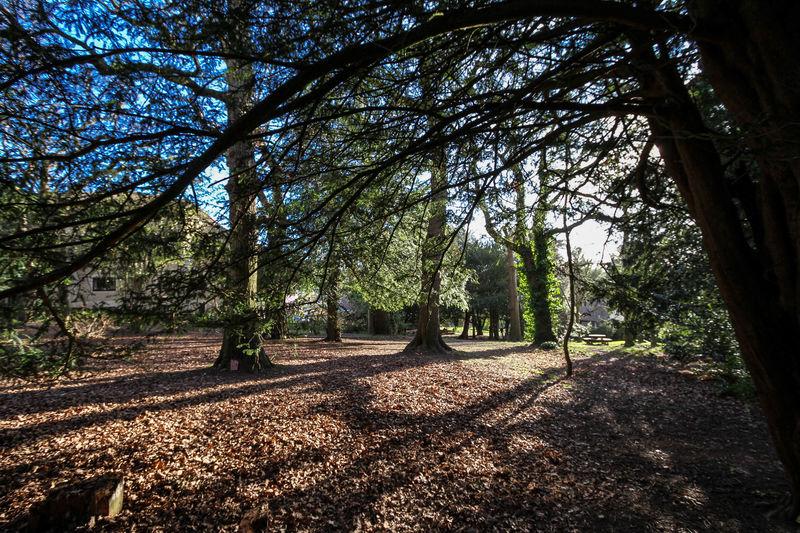 Alexandra Park