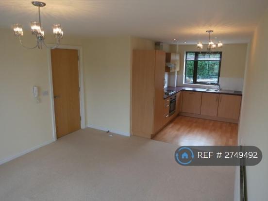 Kitchen & Living Room