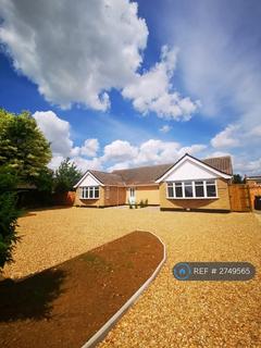 3 bedroom semi-detached house to rent, Duck Lane, Haddenham, CB6
