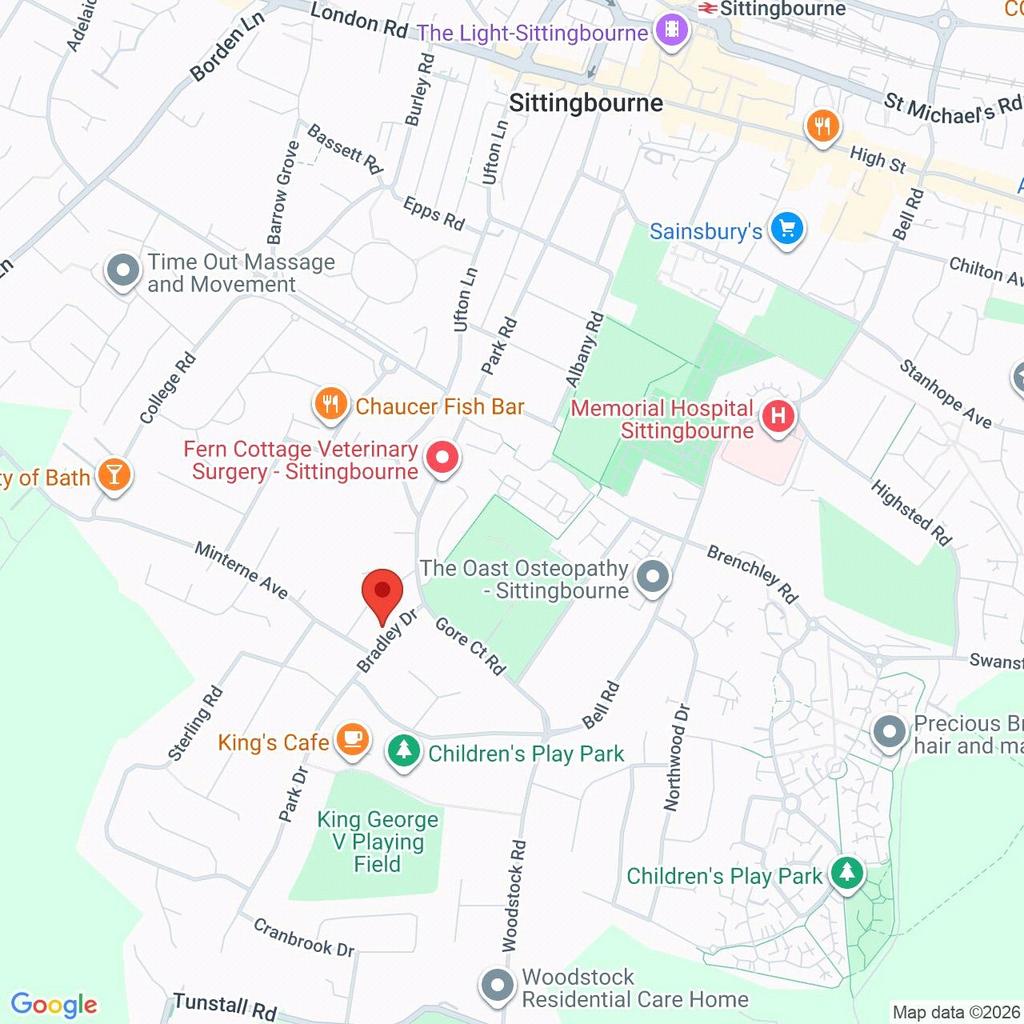 Google Maps Image
