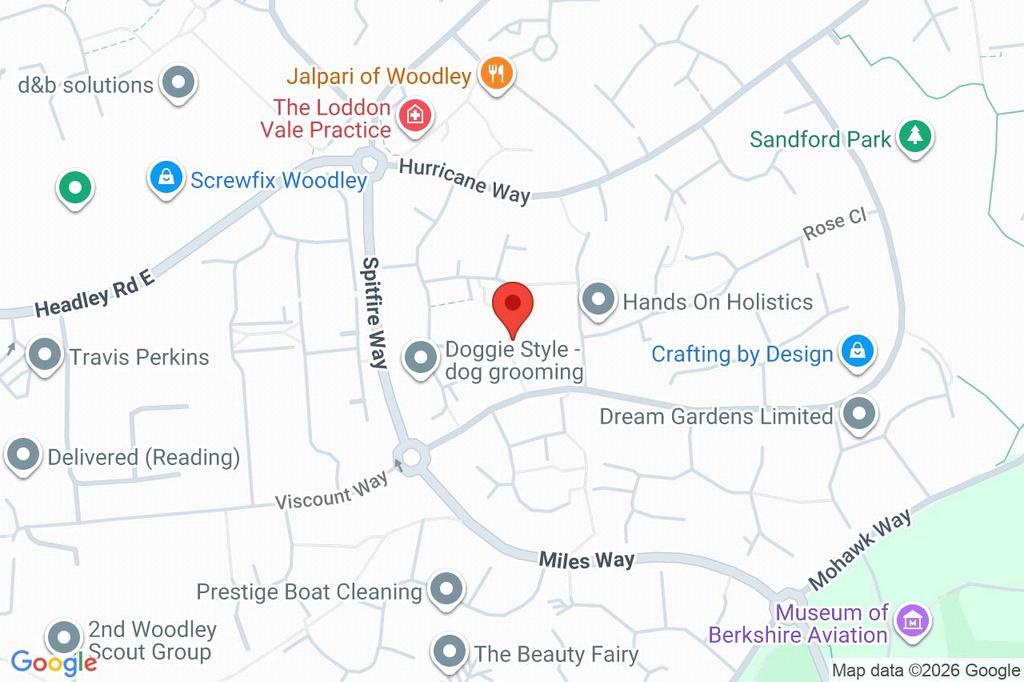 Google Maps Image