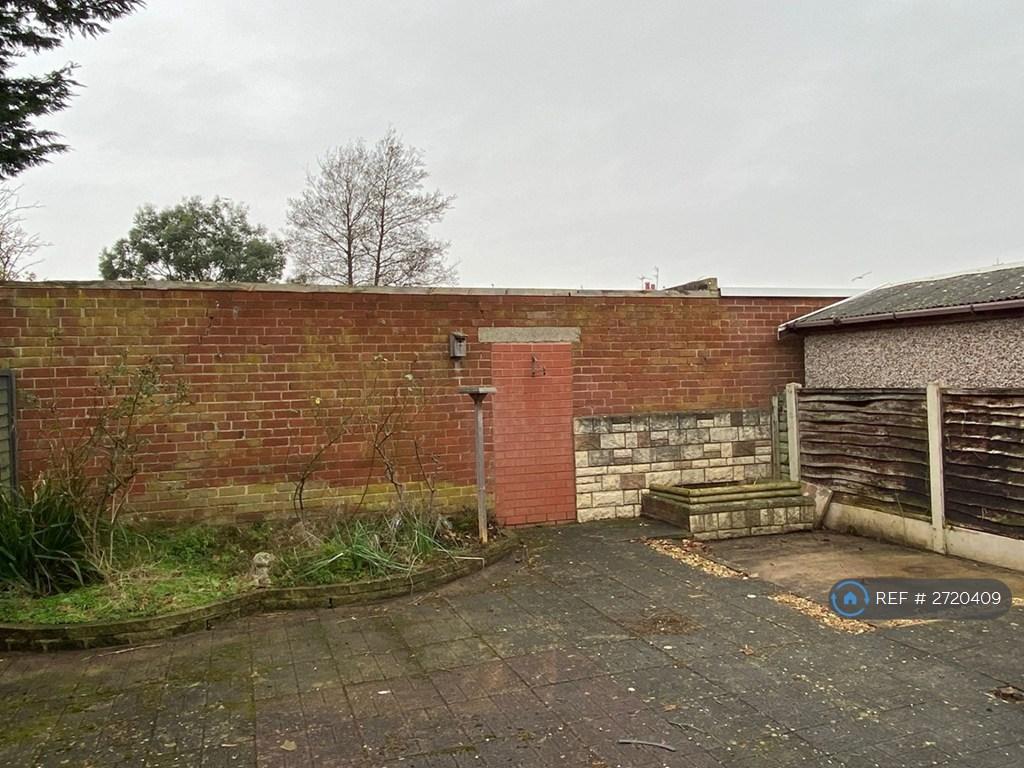 Back Garden
