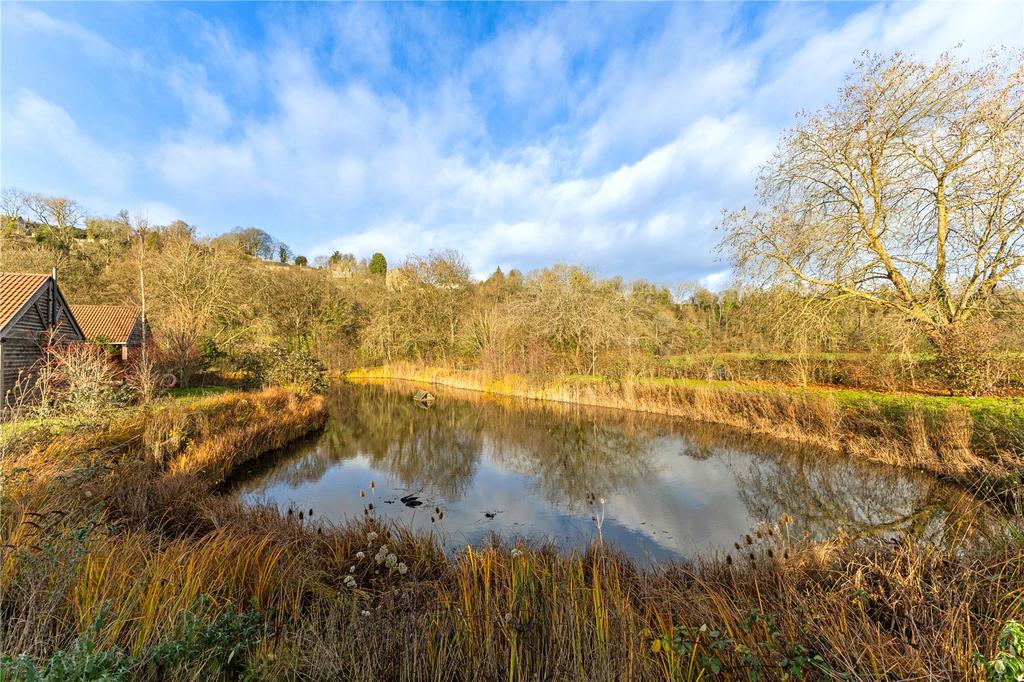Pond