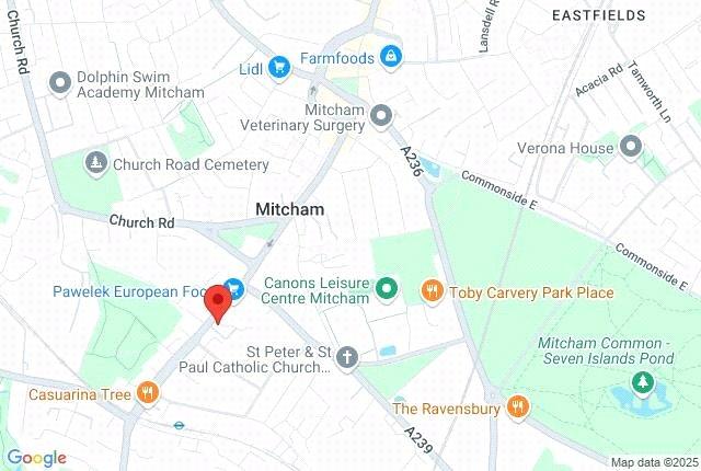 Google Maps Image