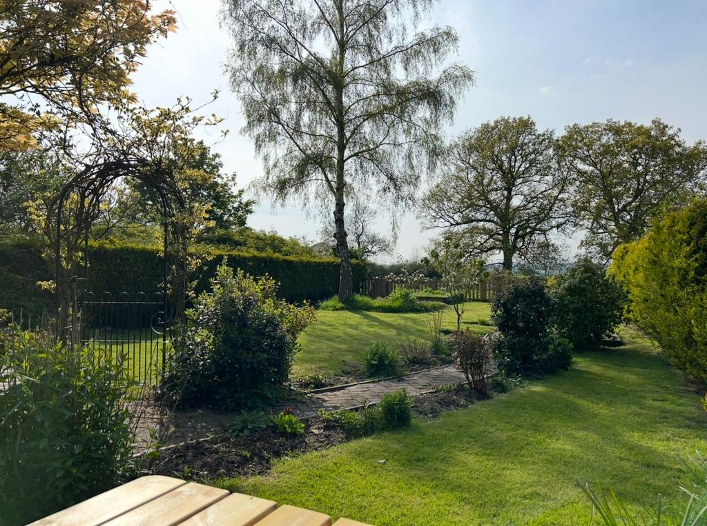 Summer phot of garden